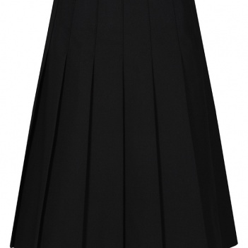 Pleated Skirt