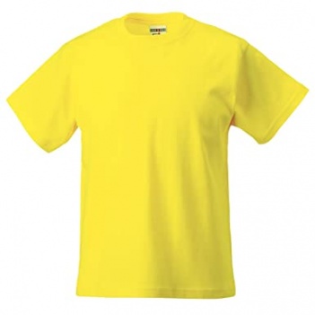 St Bridget's Badged PE T-Shirt
